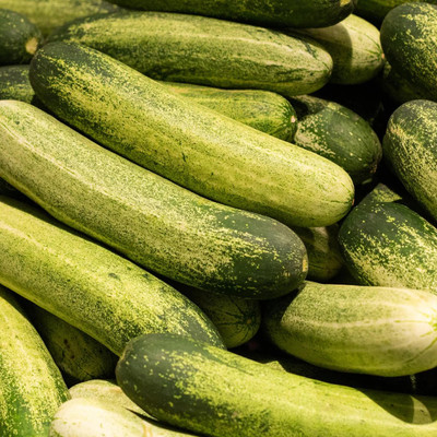 DEYS AGRO ™ High Yield Cucumber Seeds F1 Hybrid for Home Garden Seed(74 per packet)