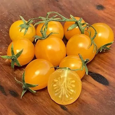 Aro Tomato, Tomato yellow cherry Seed(24 per packet)