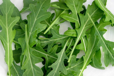 VibeX LX-98 - Roquette Arugula Herb - (750 Seeds) Seed(750 per packet)