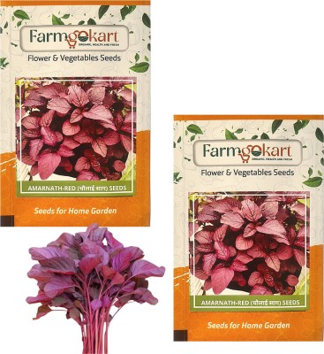 farmgokart |2 Packets of AMARNATH / CHAULAI/ KEERAI (RED) SEEDS |Terrace And Home Gardening Seed(1500 per packet)