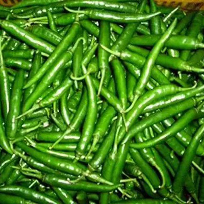 SREE Green Chilli Seed, Red Chilli Original Hybird Seed, Mirchi,Chilli Seed(120 per packet)