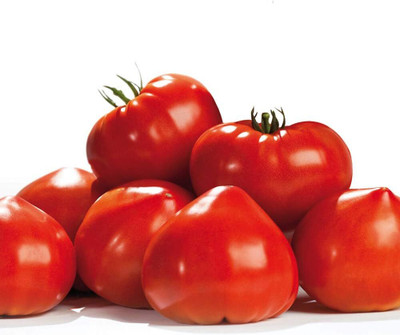 KNESSiN Tomato Gourmandia F1 Hybrid Seeds Seed(200 per packet)