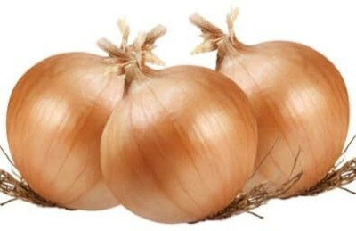 WILLVINE SCI -IV F1 Hybrid Orange Onion [50g] Seed(30000 per packet)