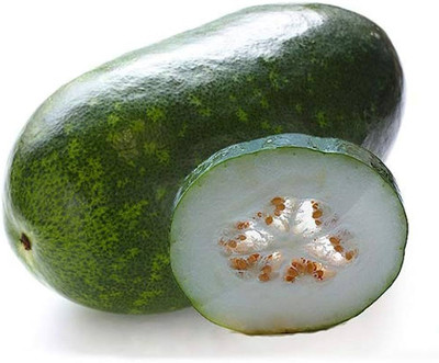 BDSresolve Ash Gourd Giant Winter Melon Seeds/Ash gourd seed 19 Seed(37 per packet)