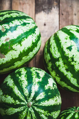 Qualtivate Fresh Sagar Watermelon F1 Hybrid Quality Seed(100 per packet)