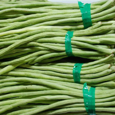 CYBEXIS Non GMO Rare Yard Long Bean Seeds200 Seeds Seed(200 per packet)