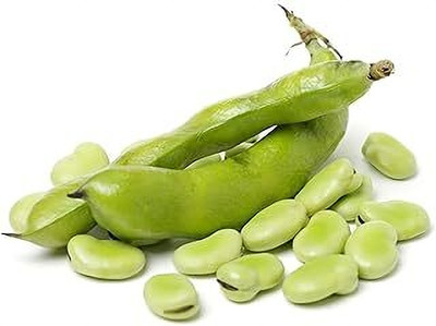 Infiniteseeds Broad Beans: A Nutrient-Packed Addition to Your Garden Seed(100 per packet)