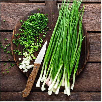 WILLVINE AGRI -II White Tokyo Long Onion Seeds [50g] Seed(30000 per packet)