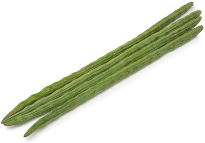 CYBEXIS XLL-86 - DRUMSTICK TREE Moringa Oleifera - (450 Seeds) Seed(450 per packet)