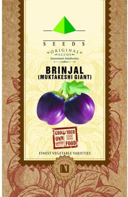 CYBEXIS Brinjal Muktakeshi Giant Seeds600 Seeds Seed(600 per packet)