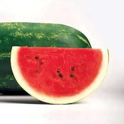CYBEXIS PUAS-60 - Sangria Hybrid Watermelon - (1350 Seeds) Seed(1350 per packet)