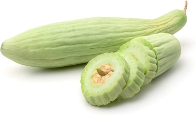 VibeX NBIR-42 - Armenian Yard-Long Cucumber - (1350 Seeds) Seed(1350 per packet)