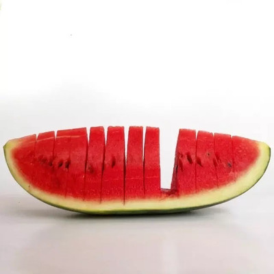 Quentova Delicious Taste Premium Quality Watermelon-RXI-4R Seed(50 per packet)