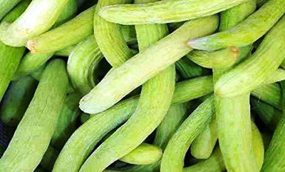 KANAYA Long Melon Kakri Seed(80 per packet)
