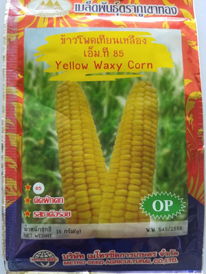 WILLVINE NKR -XI Yellow Waxy Glutinous Corn Seeds-[100g] Seed(400 per packet)