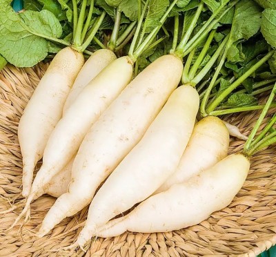 VINTI White radish (मूली के बीज) Seed(3000 per packet)