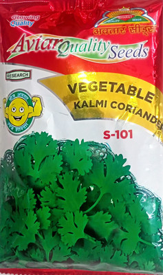 KRASHAK Green Dhania seed Seed(1 per packet)
