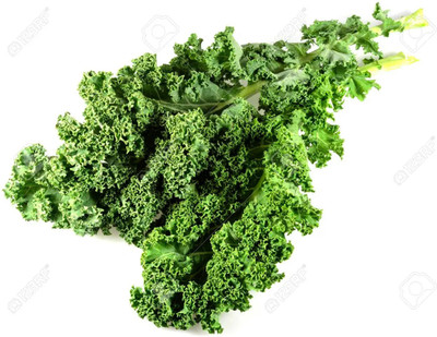 CYBEXIS Leaf Cabbage 2000 Seeds Seed(2000 per packet)