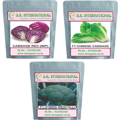 SK ORGANIC Vegetable Seeds F1 Hybrid Red Cabbage, Green Cabbage, Broccoli Seed(150 per packet)