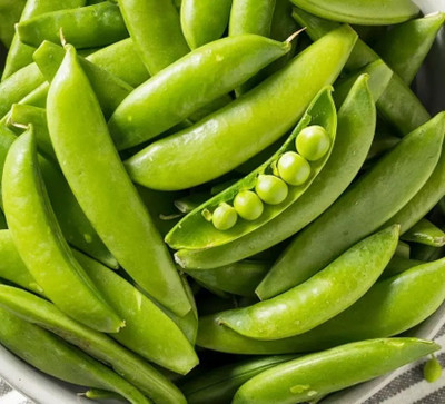 Fnine Green Peas Matar Seed(120 per packet)