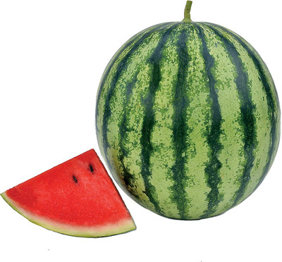 CYBEXIS XLR-57 - Watermelon Mambo Hybrid - (1350 Seeds) Seed(1350 per packet)