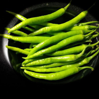 WILLVINE GBPUT -VII Farm Hybrid PUSA JWALA Chilli/MIRCH[25gm, 5000 Seeds] Seed(5000 per packet)