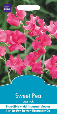 CYBEXIS Flower - Sweet Pea - Lipstick Seed(50 per packet)