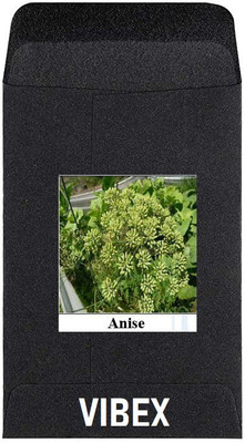 CYBEXIS Heirloom Vegetable Seeds-Anise2800 Seeds Seed(2800 per packet)