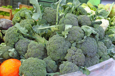 N.G.M. AGROCARE F1 Hybrid Broccoli Seeds Seed(10 per packet)