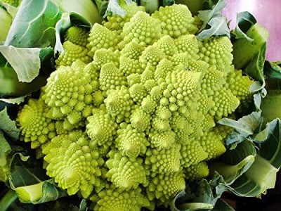 Qualtivate GBPT-3A Romanesco Broccoli Seed Seed(300 per packet)