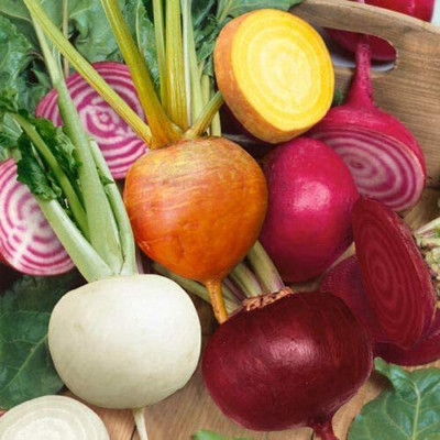 CYBEXIS High Germination Beetroot Mixed Seeds500 Seeds Seed(500 per packet)
