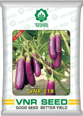 the green dotcom vnr 218 hybrid brinjal Seed (10 g) Seed(60 per packet)