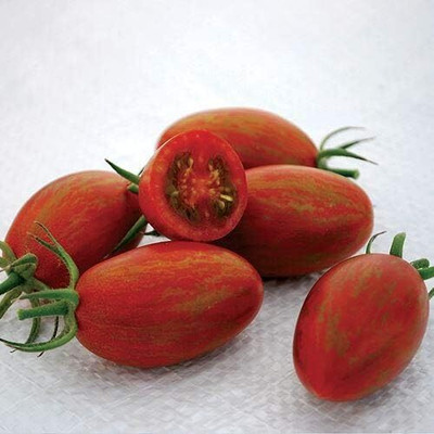 Qualtivate ICRA-3A Bronze Torch F1 Tomato Seed(300 per packet)
