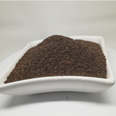 KNESSiN Jakhya Culinary Seed(1250 per packet)