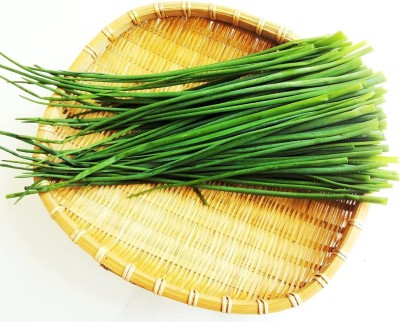 CYBEXIS TLX-24 - Common Chives Herb (Allium schoenoprasum) - (2250 Seeds) Seed(2250 per packet)