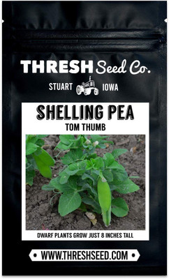 VibeX ® VXI-210 Tom Thumb Pea Seeds Seed(50 per packet)
