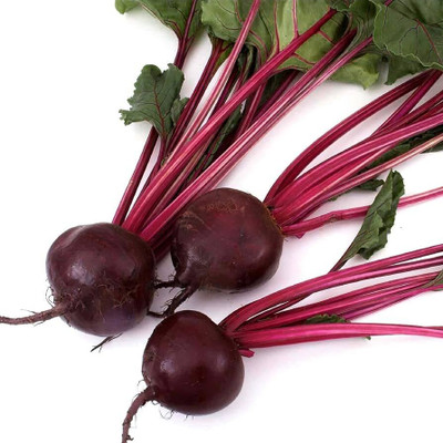 BDSresolve Small beetroot seeds/beetroot seed 64 Seed(64 per packet)