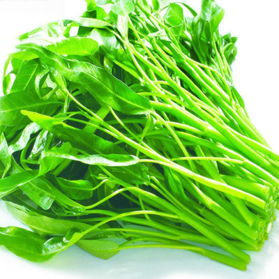 VibeX ® VMR-110 Kangkong Seeds - Rau Muong, Ong Choy Seed(500 per packet)
