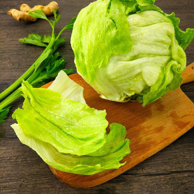 CYBEXIS Spherical Round Shape Lettuce Seeds2000 Seeds Seed(2000 per packet)