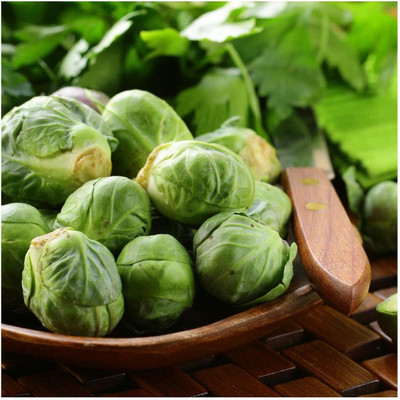 WILLVINE NKR -V Long Island Improved Brussel Sprouts [50g] Seed(15000 per packet)