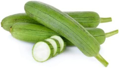 CYBEXIS XLR-57 - Gourd Luffa Cylindrica Smooth Sponge - (100 Seeds) Seed(100 per packet)
