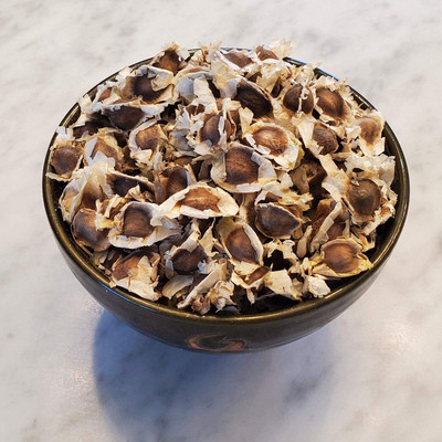 CYBEXIS LX-64 - of The Tree of Life Moringa - (150 Seeds) Seed(150 per packet)