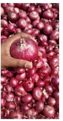 VibeX ® RXI-1012 F1 Hybrid Onion Red Nashik Seed(1000 per packet)