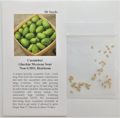 VibeX ® VXI-657 Cucumber Gherkin Mexican Sour Seed(200 per packet)