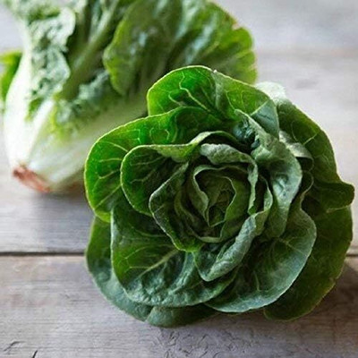 Qualtivate PUA5-A Lettuce Butterhead Little Gem Seed(300 per packet)