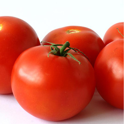 VRAKSHA Plum Tomatoes Seed(500 per packet)