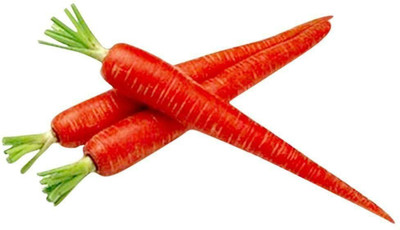KANAYA Carrot / Gajar Seed(18 per packet)
