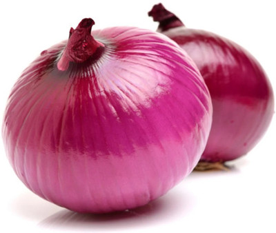 Quentova Red Onion Seeds - Italian-CTU-7P Seed(250 per packet)