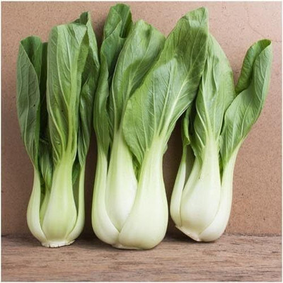 Biosnyg NDIR-92 Pak Choi Cabbage (Brassica oleracea)-[200 Seeds] Seed(200 per packet)