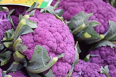 Qualtivate ICRA-4A Cauliflower Sicilatte Violet Purple Imported Seed(300 per packet)
